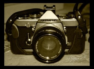 19 Years of Photography: From Analog Roots to Digital Mastery