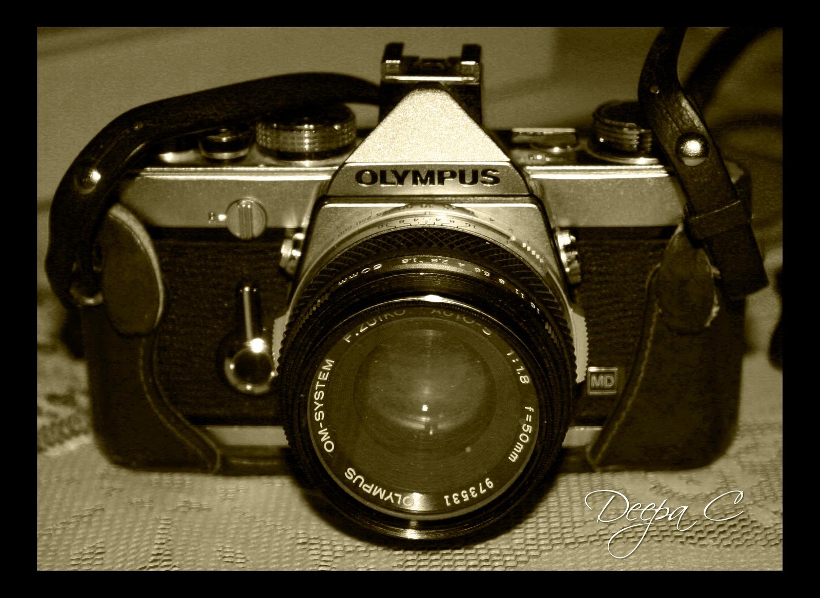 19 Years of Photography: From Analog Roots to Digital Mastery